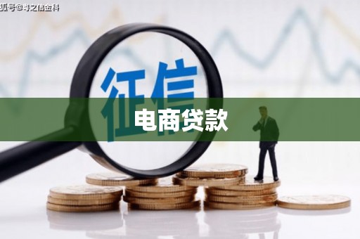 东兰电商贷款