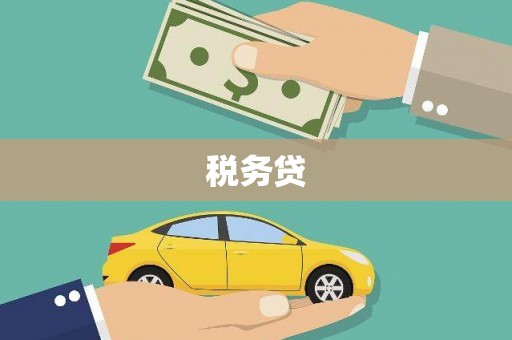 东兰税务贷