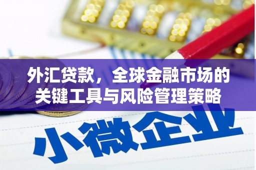东兰外汇贷款，全球金融市场的关键工具与风险管理策略