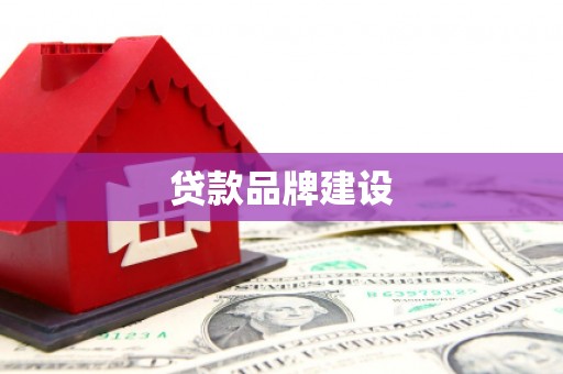 东兰贷款品牌建设