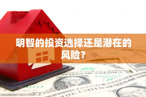 东兰明智的投资选择还是潜在的风险？