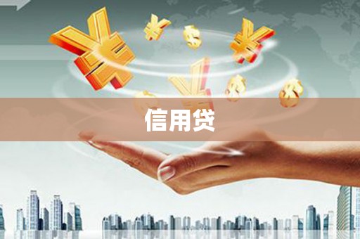 东兰信用贷