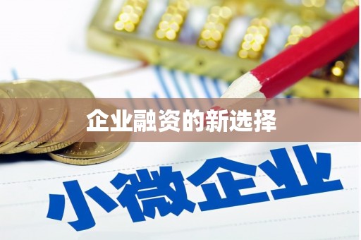 东兰企业融资的新选择