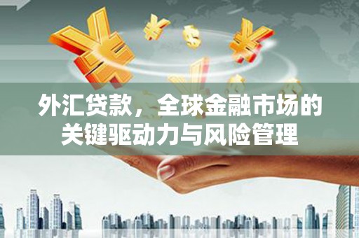 东兰外汇贷款，全球金融市场的关键驱动力与风险管理