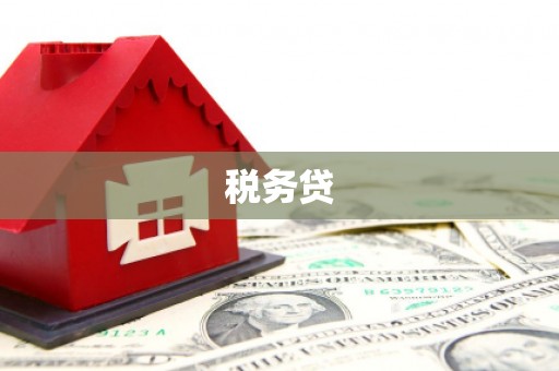 东兰税务贷
