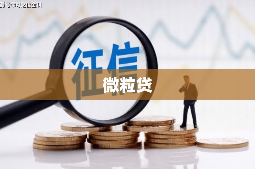 东兰微粒贷