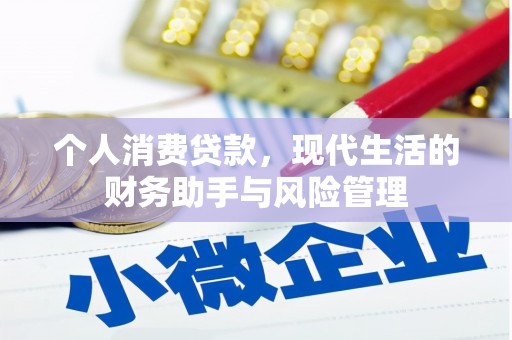 东兰个人消费贷款，现代生活的财务助手与风险管理