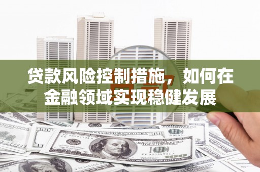 东兰贷款风险控制措施，如何在金融领域实现稳健发展