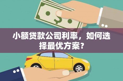 东兰小额贷款公司利率，如何选择最优方案？