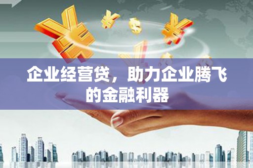东兰企业经营贷，助力企业腾飞的金融利器