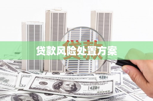东兰贷款风险处置方案