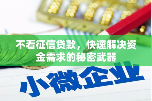 东兰不看征信贷款，快速解决资金需求的秘密武器