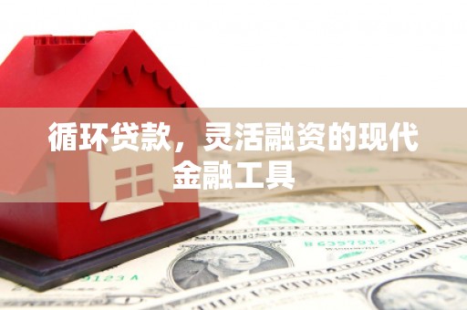 东兰循环贷款，灵活融资的现代金融工具