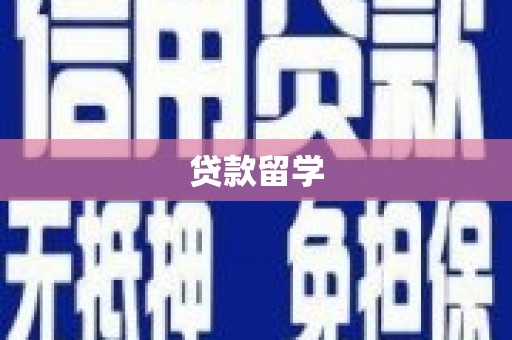 东兰贷款留学