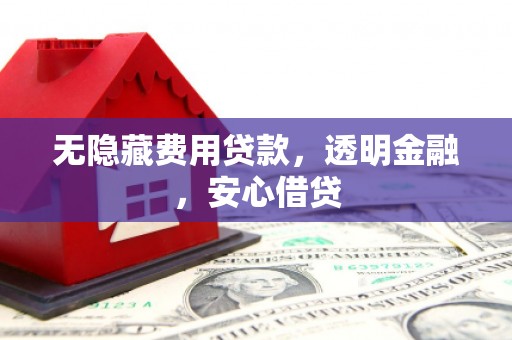 东兰无隐藏费用贷款，透明金融，安心借贷