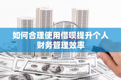 东兰如何合理使用借呗提升个人财务管理效率