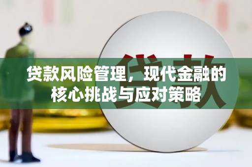 东兰贷款风险管理，现代金融的核心挑战与应对策略