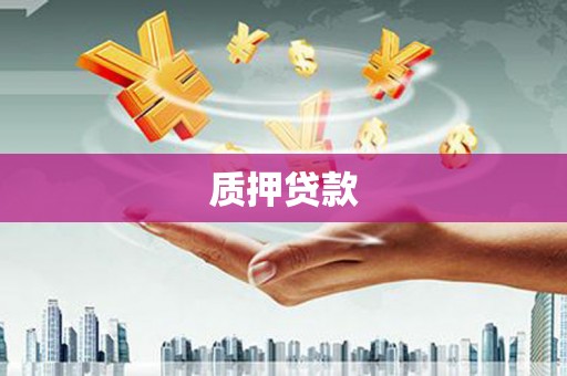 东兰质押贷款