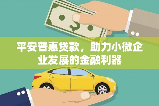 东兰平安普惠贷款，助力小微企业发展的金融利器