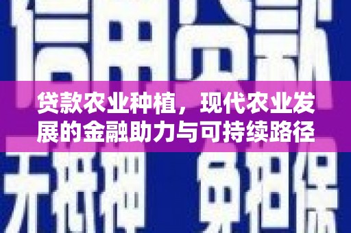 东兰贷款农业种植，现代农业发展的金融助力与可持续路径