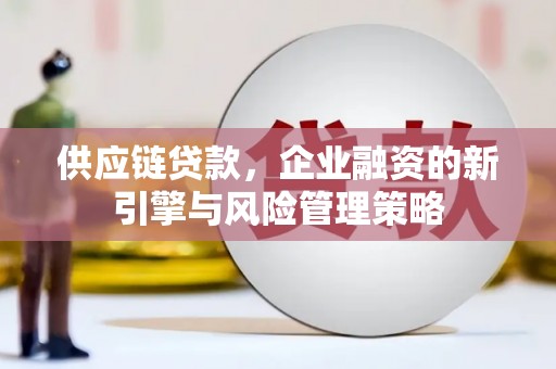 东兰供应链贷款，企业融资的新引擎与风险管理策略