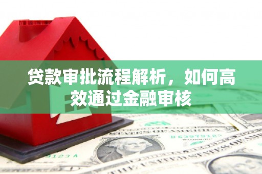 东兰贷款审批流程解析，如何高效通过金融审核