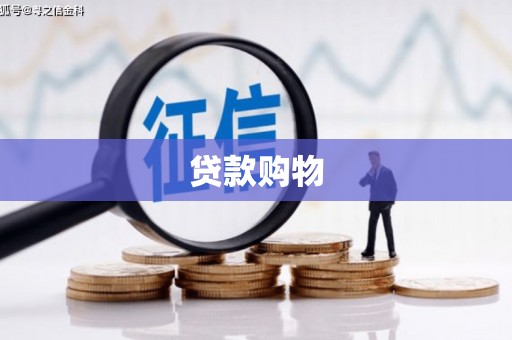 东兰贷款购物