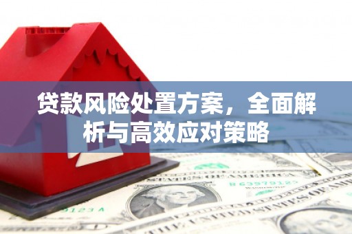 东兰贷款风险处置方案，全面解析与高效应对策略