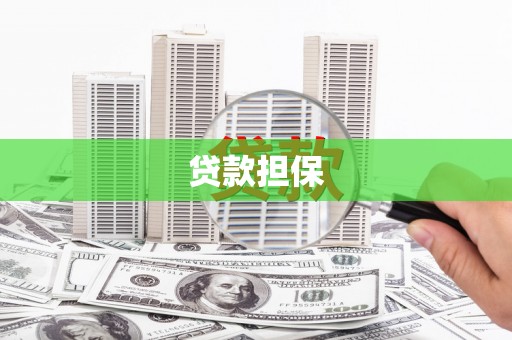 东兰贷款担保