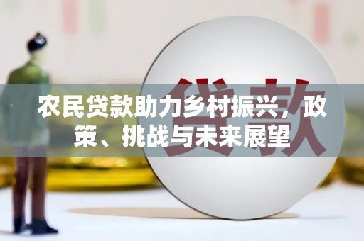 东兰农民贷款助力乡村振兴，政策、挑战与未来展望