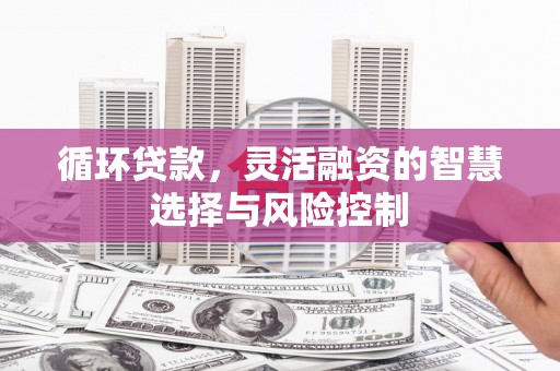 东兰循环贷款，灵活融资的智慧选择与风险控制