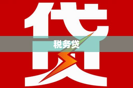 东兰税务贷