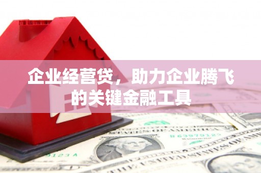 东兰企业经营贷，助力企业腾飞的关键金融工具