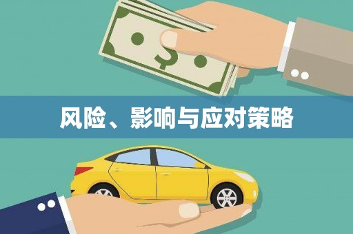 东兰风险、影响与应对策略