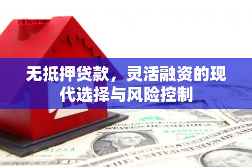 东兰无抵押贷款，灵活融资的现代选择与风险控制