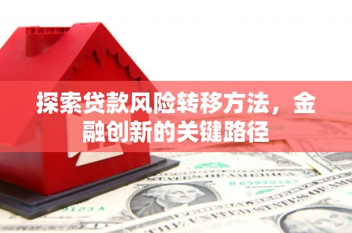 东兰探索贷款风险转移方法，金融创新的关键路径