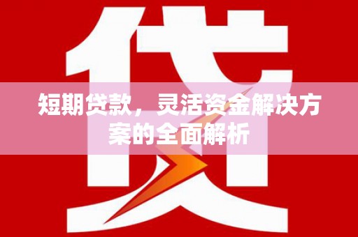 东兰短期贷款，灵活资金解决方案的全面解析