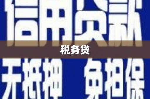 东兰税务贷