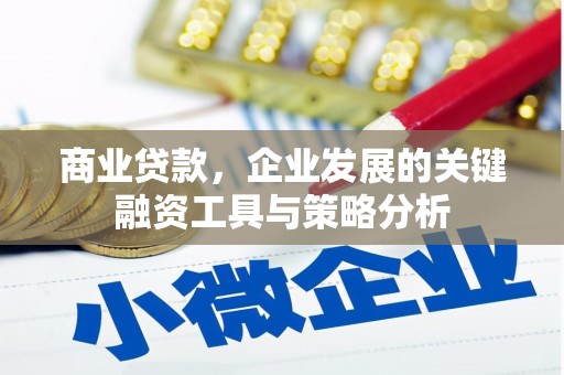 东兰商业贷款，企业发展的关键融资工具与策略分析