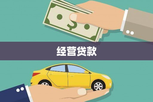 东兰经营贷款