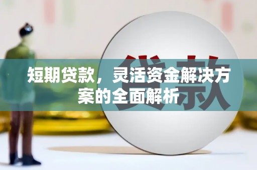 东兰短期贷款，灵活资金解决方案的全面解析
