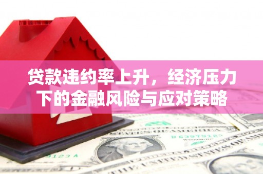 东兰贷款违约率上升，经济压力下的金融风险与应对策略