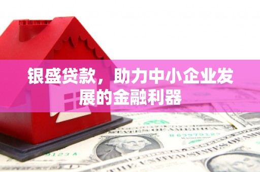 东兰银盛贷款，助力中小企业发展的金融利器