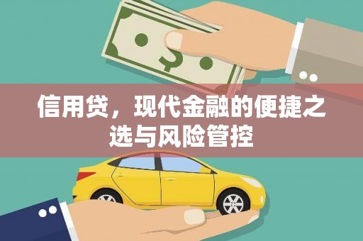 东兰信用贷，现代金融的便捷之选与风险管控