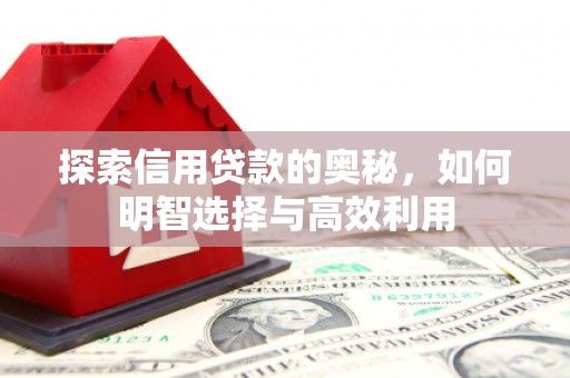 东兰探索信用贷款的奥秘，如何明智选择与高效利用