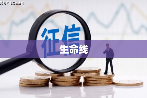 东兰生命线