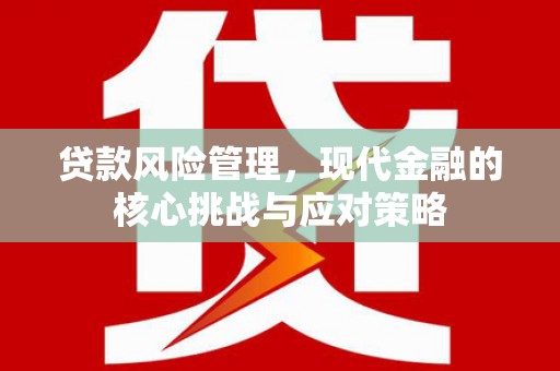 东兰贷款风险管理，现代金融的核心挑战与应对策略