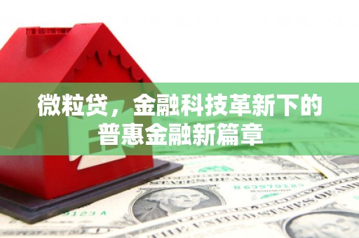 东兰微粒贷，金融科技革新下的普惠金融新篇章