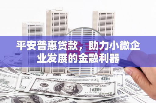 东兰平安普惠贷款，助力小微企业发展的金融利器