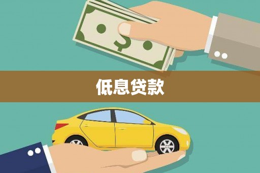 东兰低息贷款